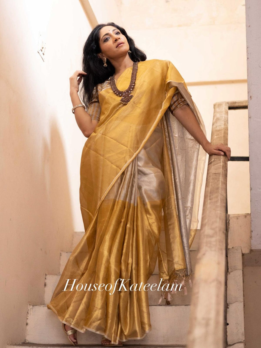 HOK6801- Sonpari- Silver & Gold